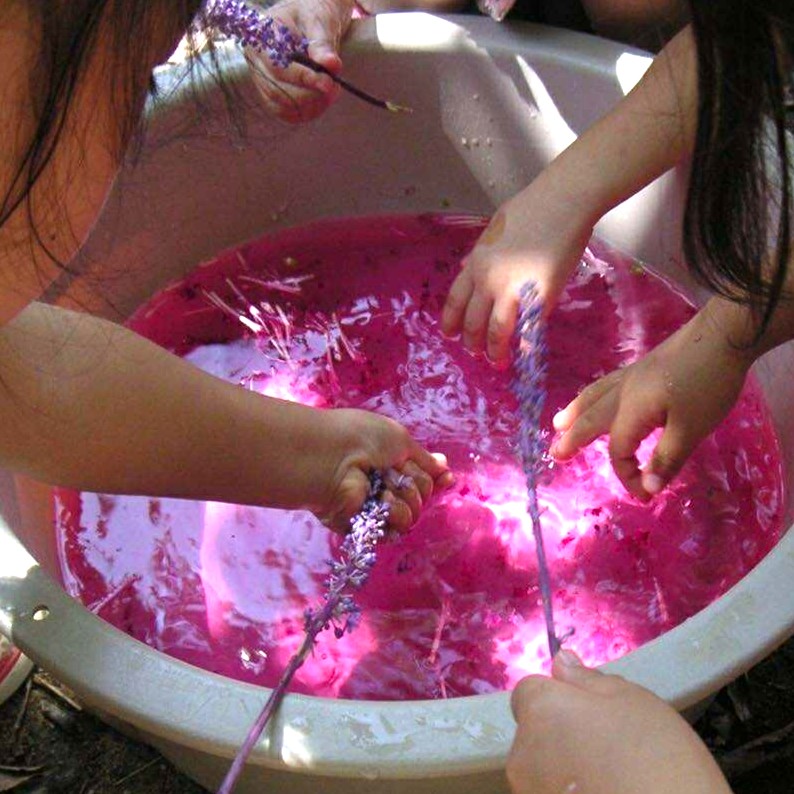 ヤブランの蕾を使った色水あそび