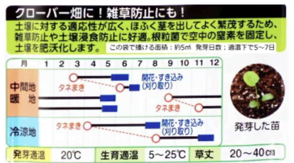 クローバーの種を撒く時期の解説