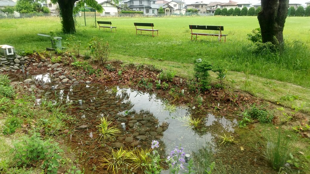 熊本県立大学の雨庭