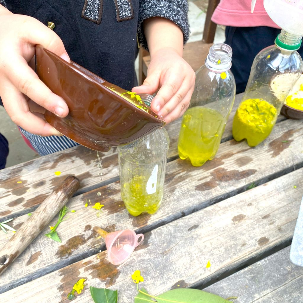 菜の花の色水あそび