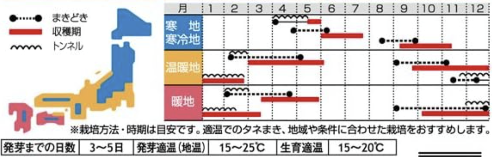 植え付けの時期