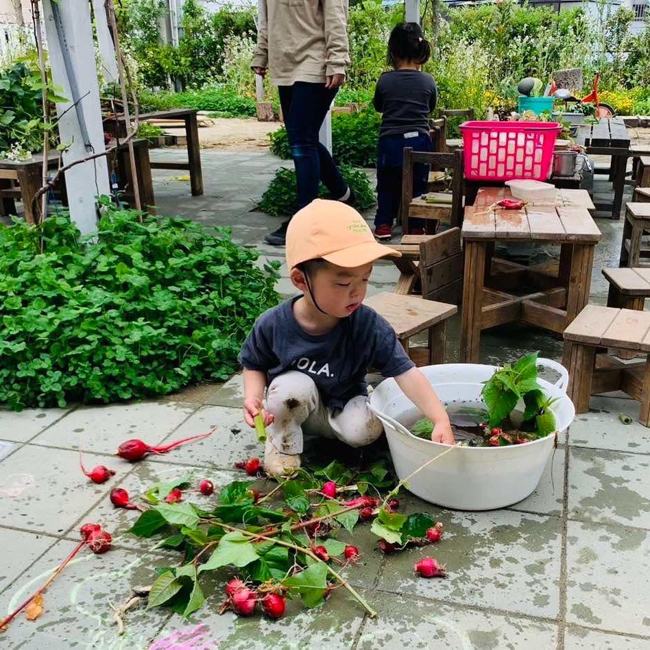 植物あそびの様子