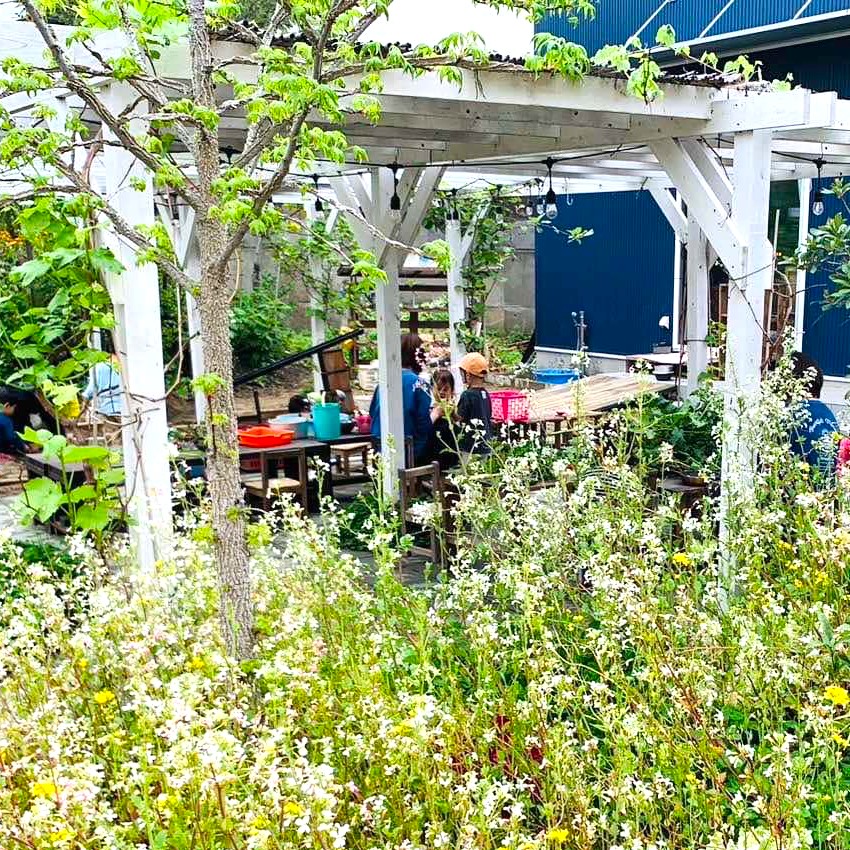 園庭に咲き誇る菜の花