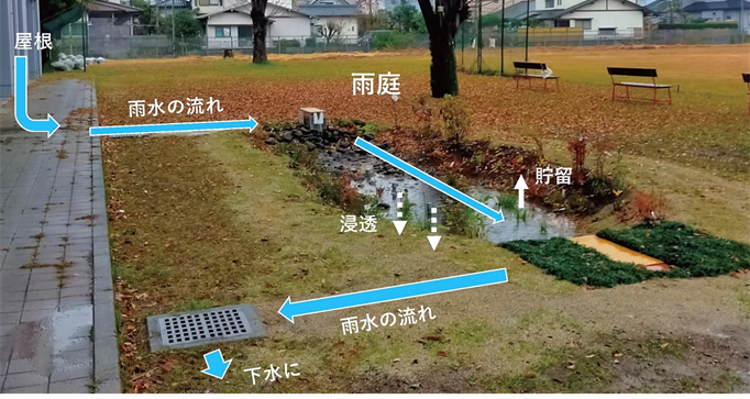 雨庭の機能の解説