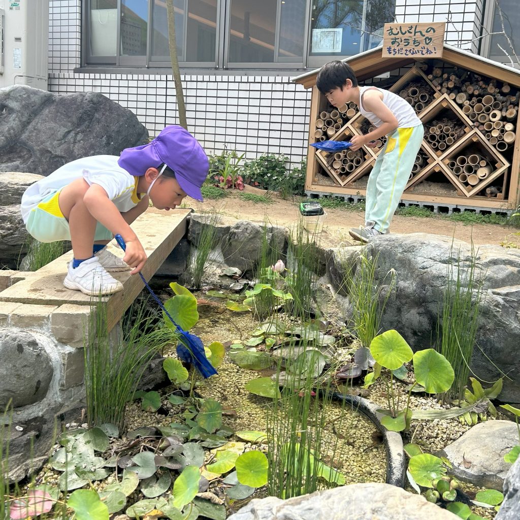 ビオトープを観察するこども