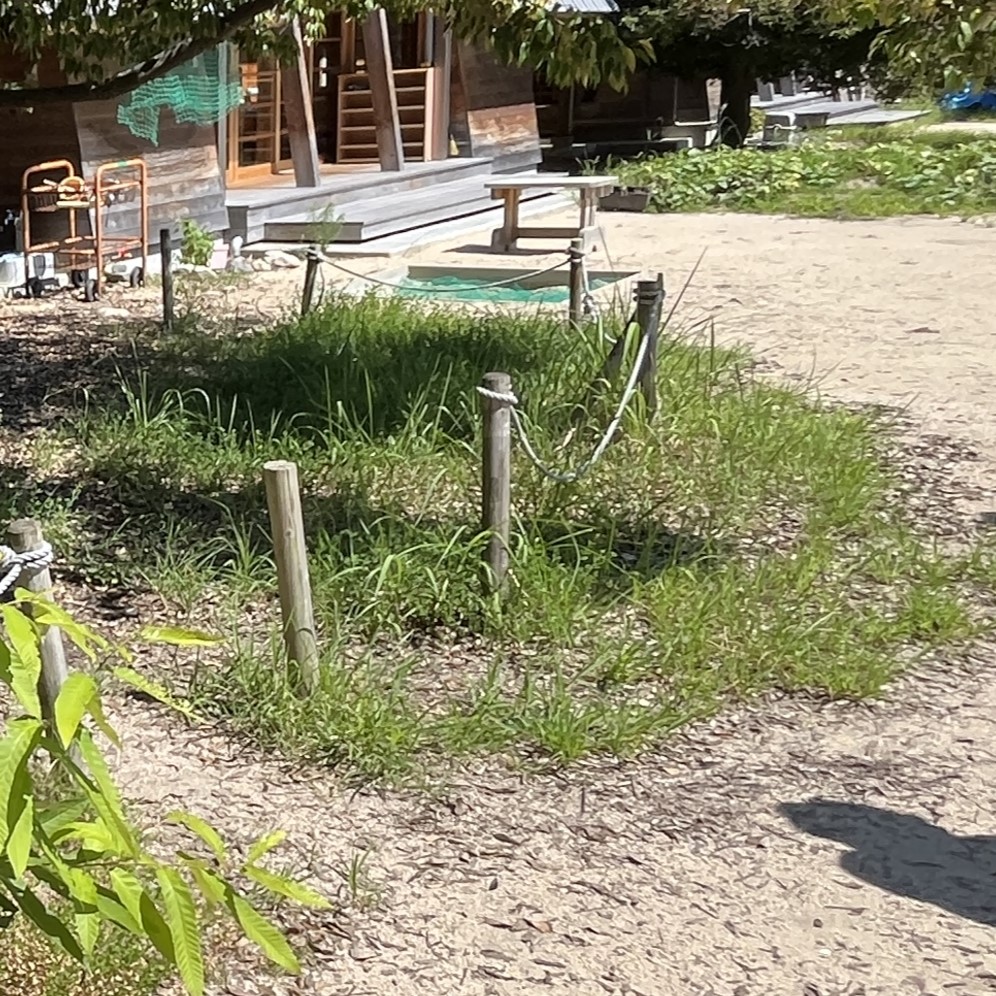 広島県 かえで幼稚園のビオトープ