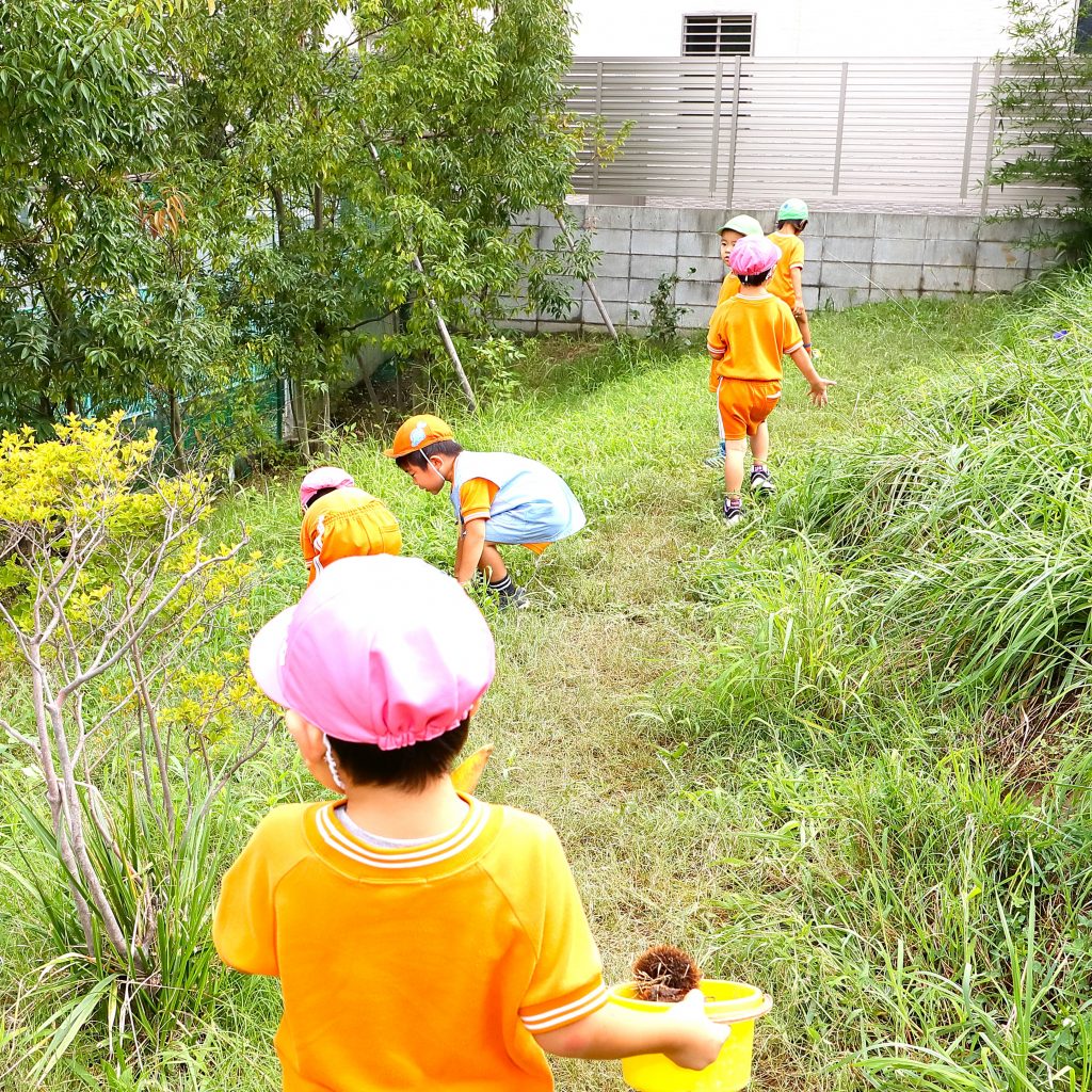 埼玉県 あだちみどり幼稚園のビオトープ