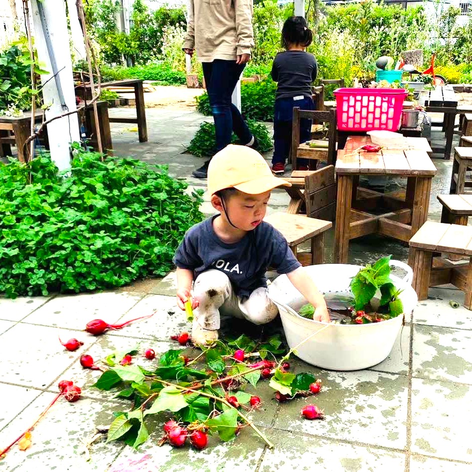 植物あそびをするこども
