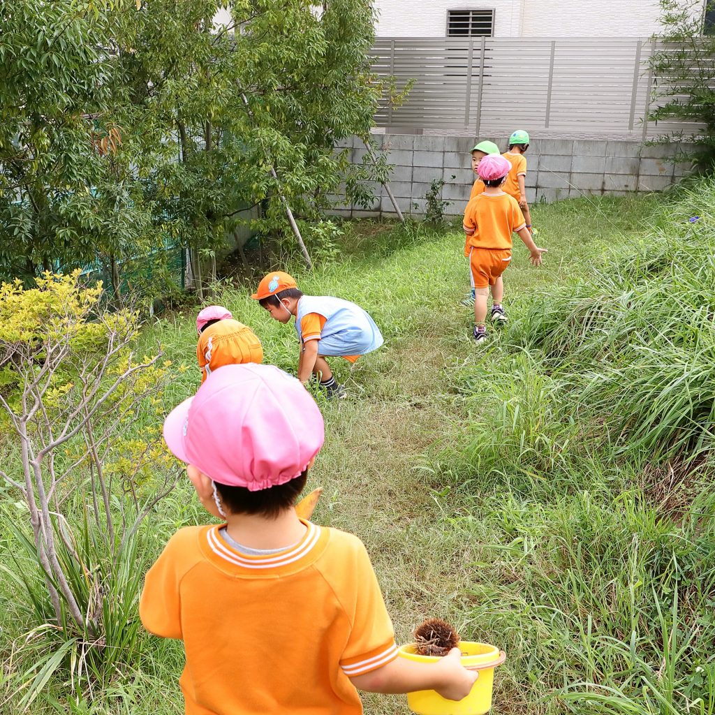 草地で遊ぶこどもたち
