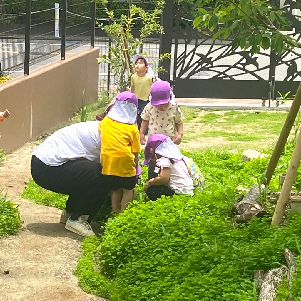 先生と一緒に虫探しをする