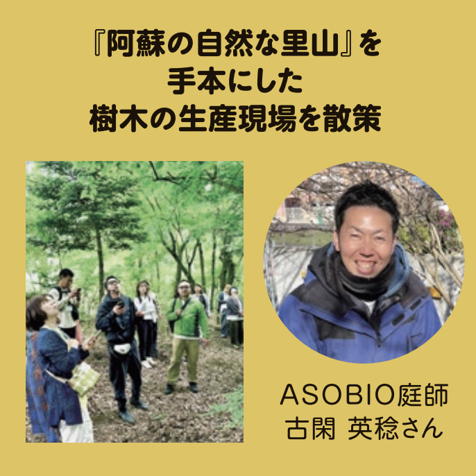 熊本県の阿蘇の古閑の森を散策