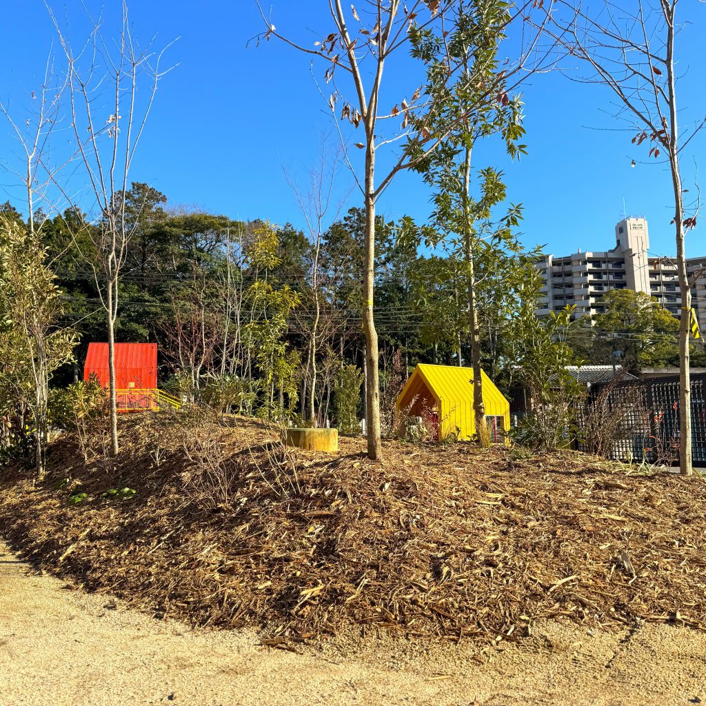 桜井こども園の園庭