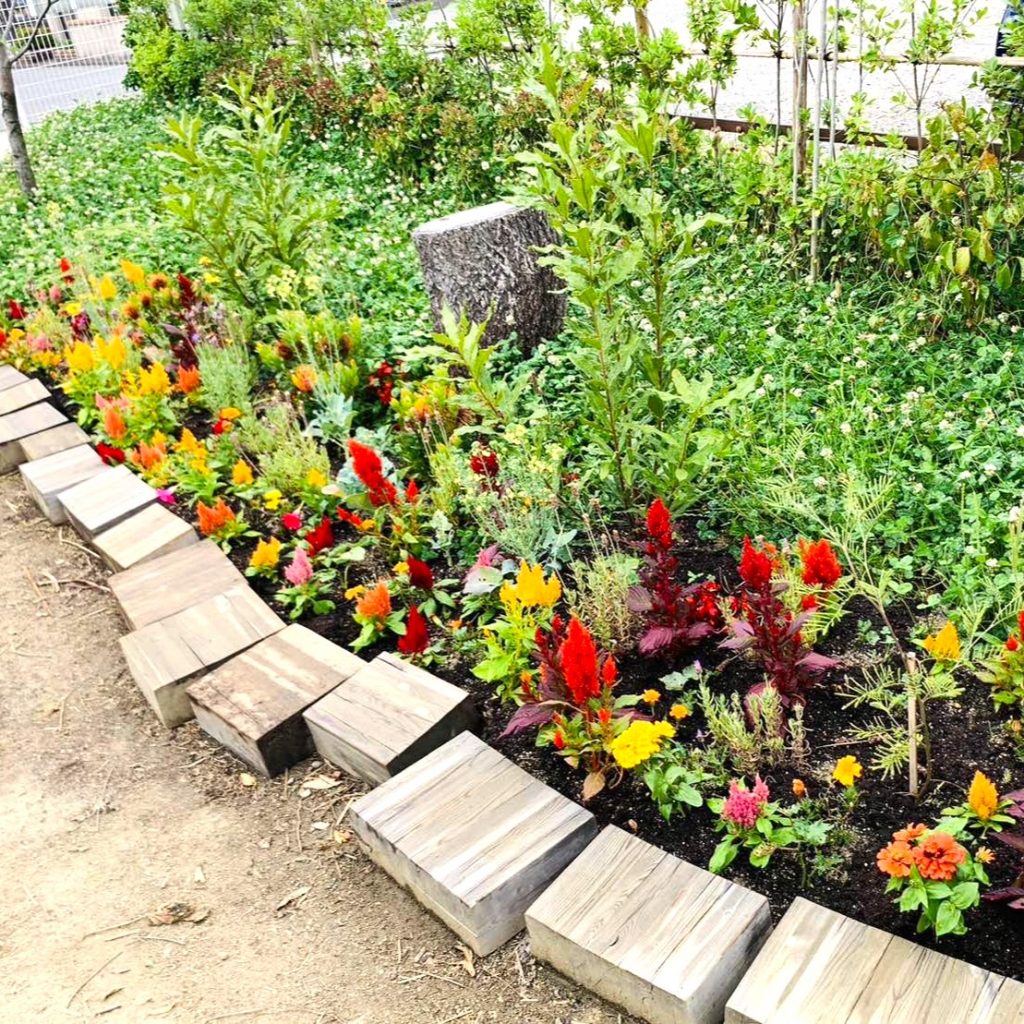 こどもの動線と植栽のバランス