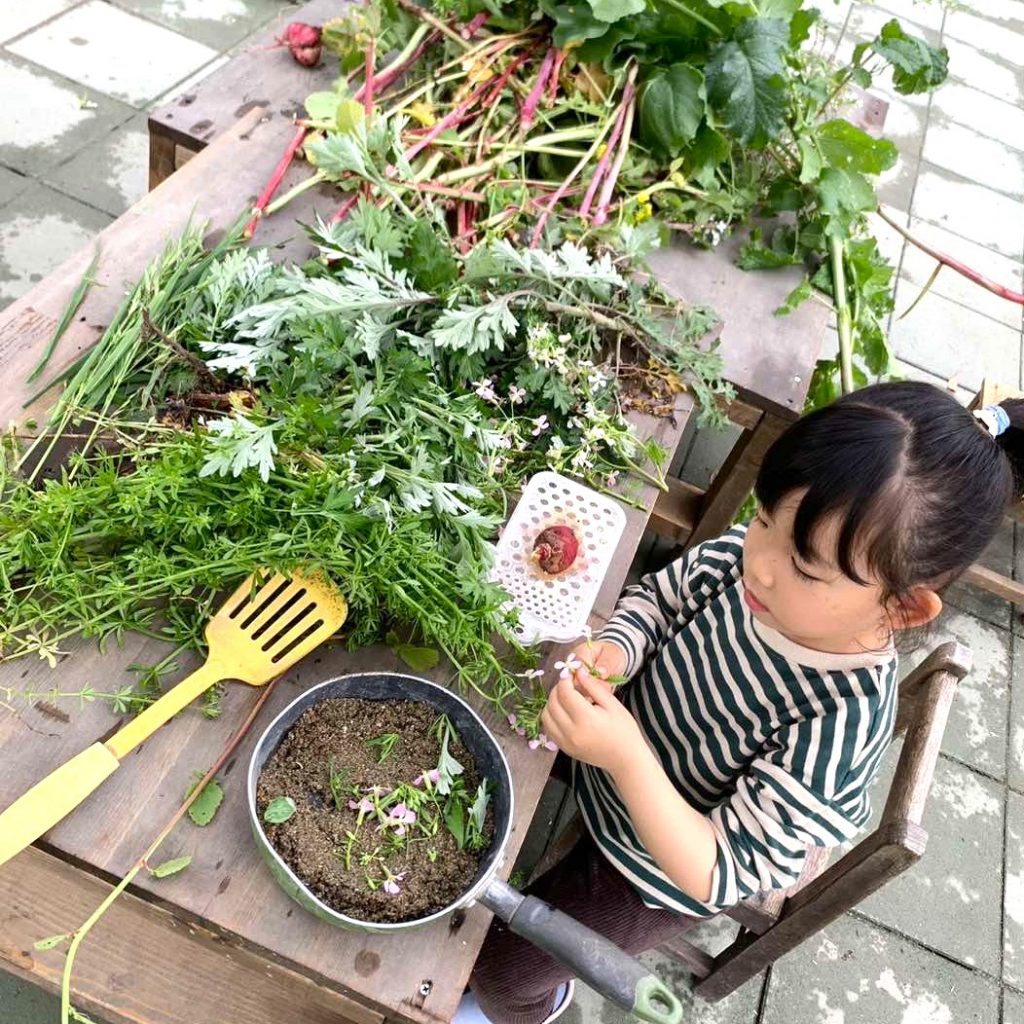 おろし器で植物をすりおろす様子
