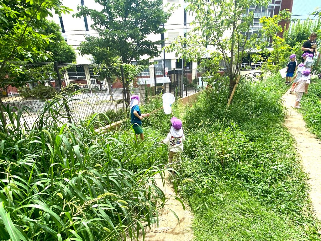 園庭で虫を探すこどもたち