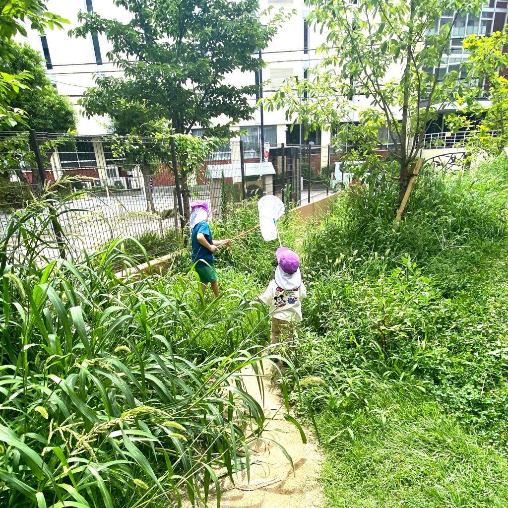 虫探しをするこどもたち