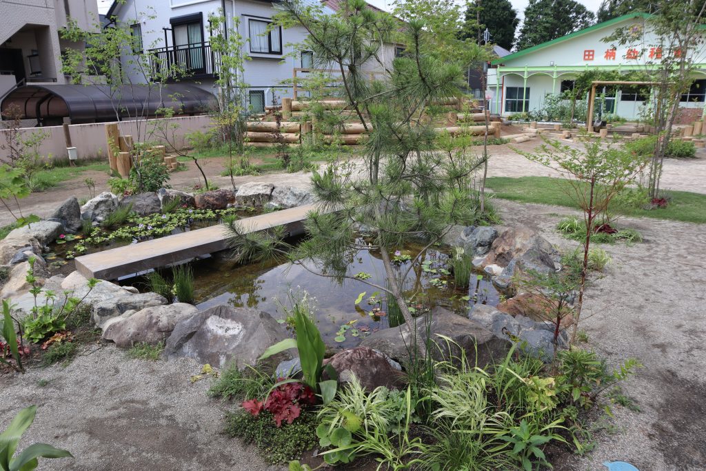 東京都田柄幼稚園のビオトープ、生態系ができ、命が循環している