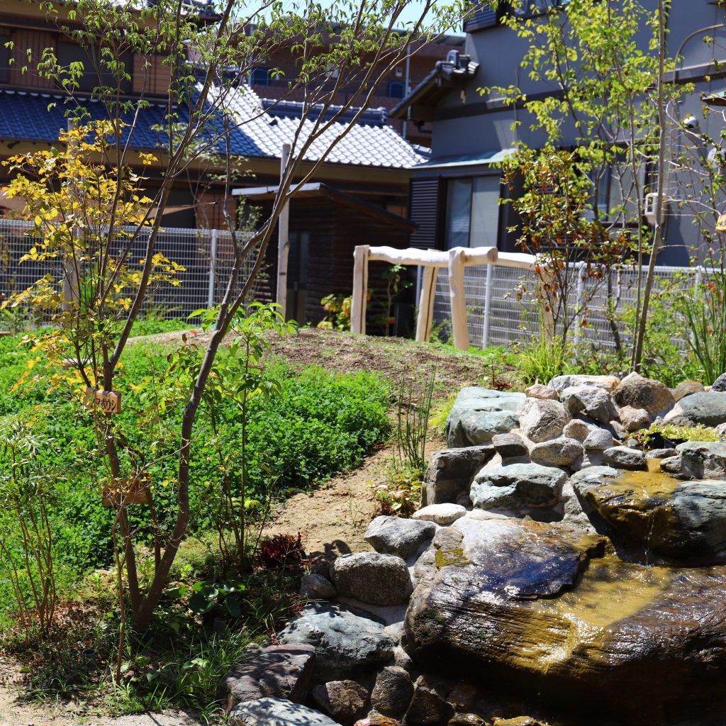 築山とビオトープ