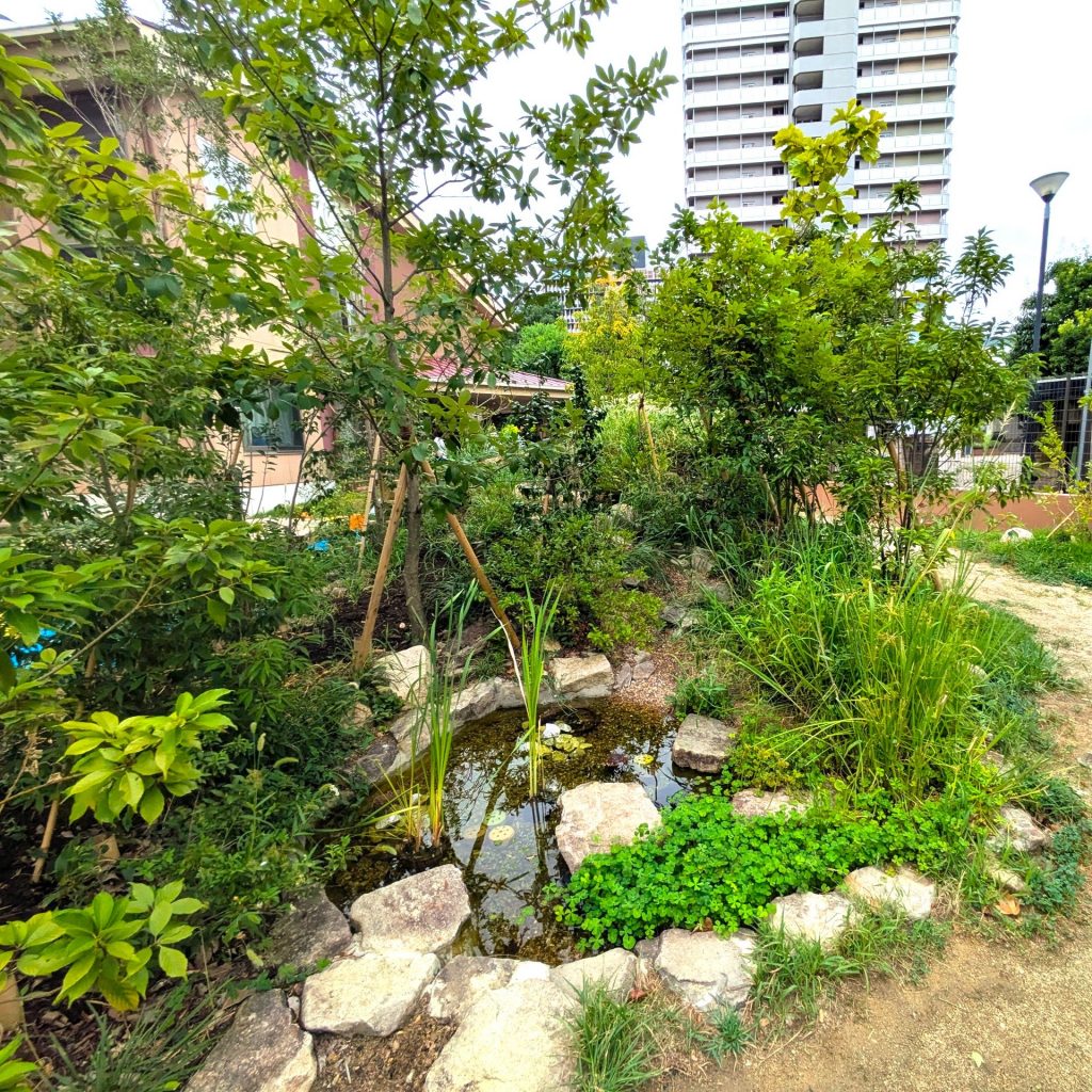 都市の中にできたビオトープ