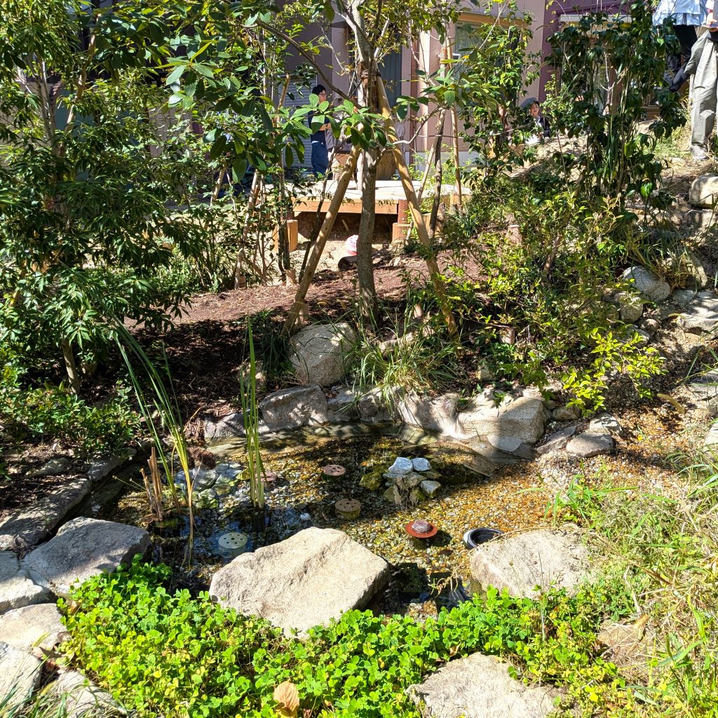 ビオトープにはメダカや地域の生き物が生息している。