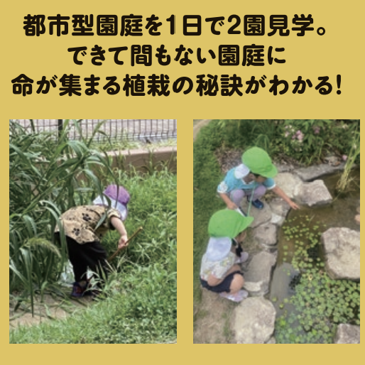 こどもがビオトープで遊ぶ様子