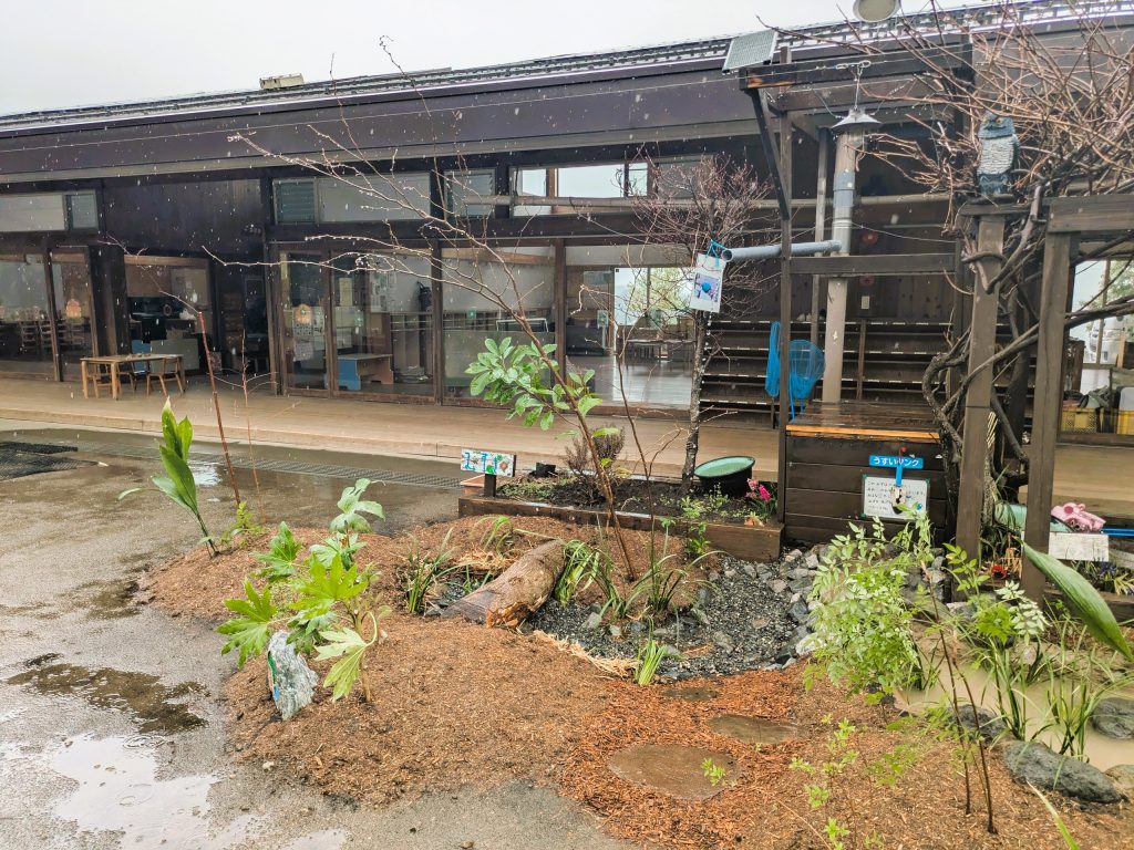 東京ゆりかご幼稚園に完成した雨庭