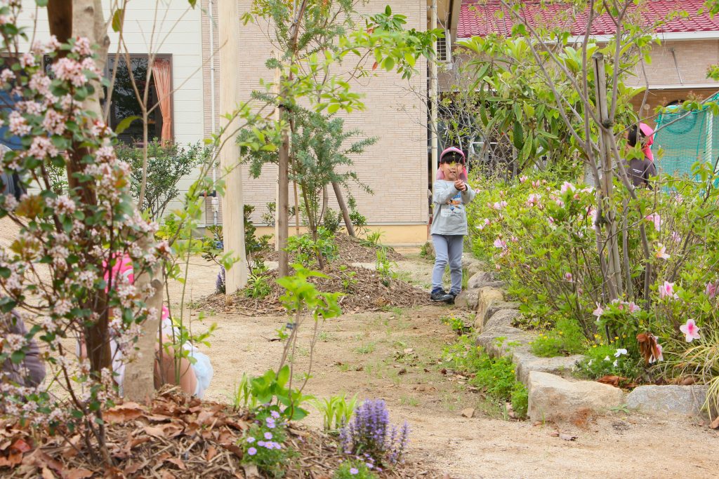 たまきな幼稚園の自然豊かな園庭