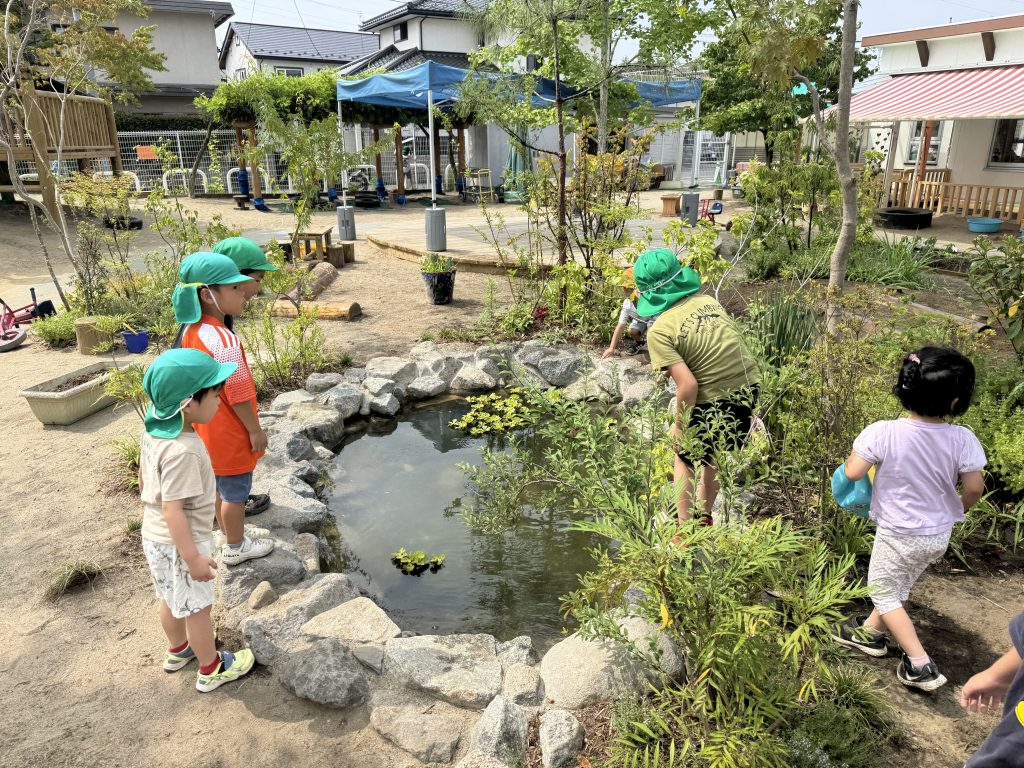 宮城県 バンビの森こども園のASOBIO