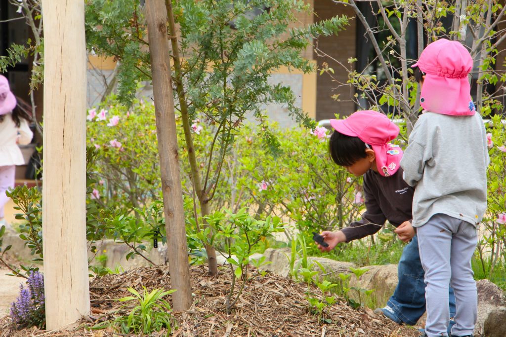 たまきな幼稚園の植栽
